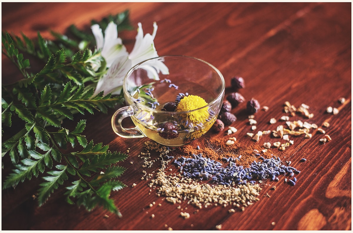 Equilibrio natural y bienestar integral
